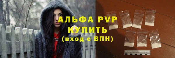 хмурый Алзамай