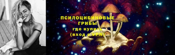 твердый Алексеевка