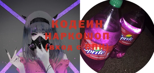 хмурый Алзамай